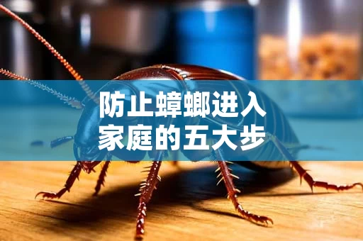 防止蟑螂进入家庭的五大步骤