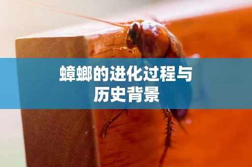 蟑螂的进化过程与历史背景