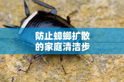 防止蟑螂扩散的家庭清洁步骤