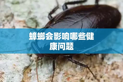 蟑螂会影响哪些健康问题