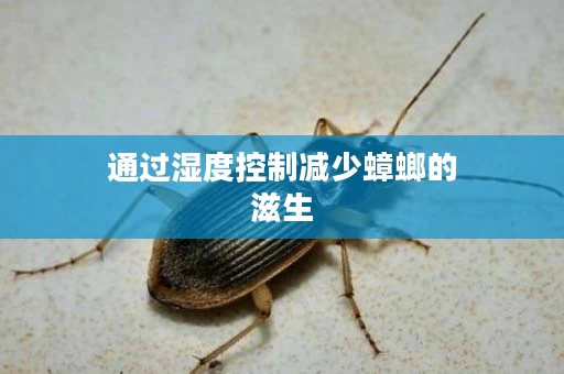 通过湿度控制减少蟑螂的滋生