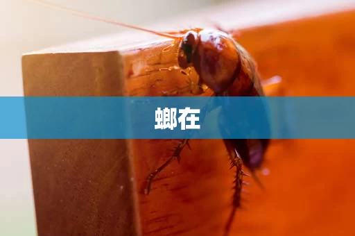 螂在