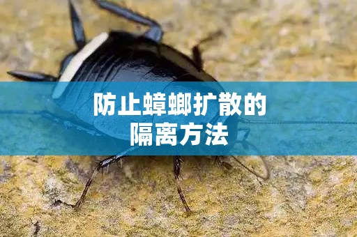 防止蟑螂扩散的隔离方法
