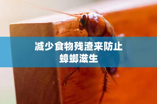 减少食物残渣来防止蟑螂滋生