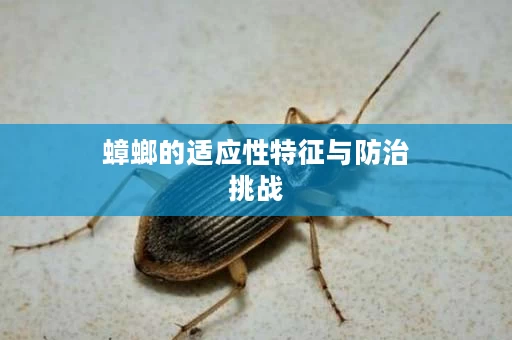 蟑螂的适应性特征与防治挑战