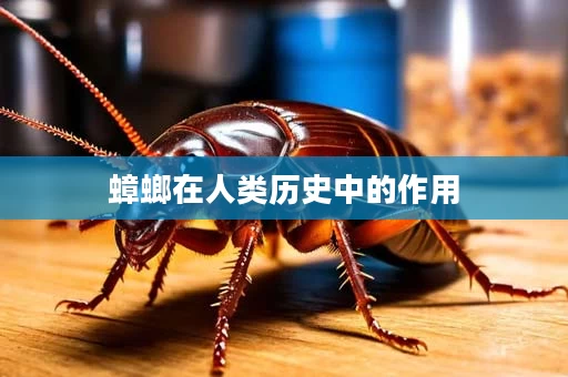 蟑螂在人类历史中的作用