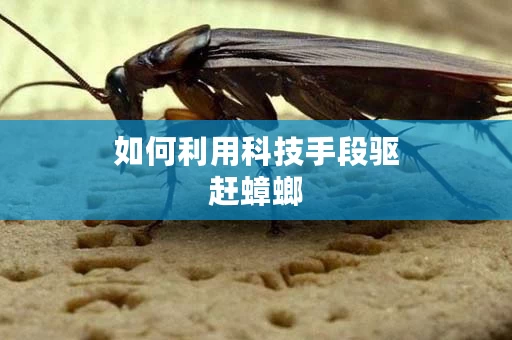 如何利用科技手段驱赶蟑螂