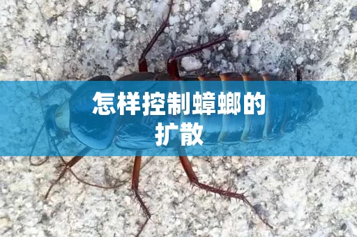 怎样控制蟑螂的扩散