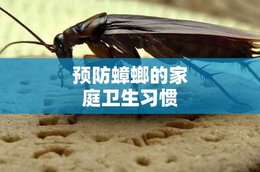 预防蟑螂的家庭卫生习惯