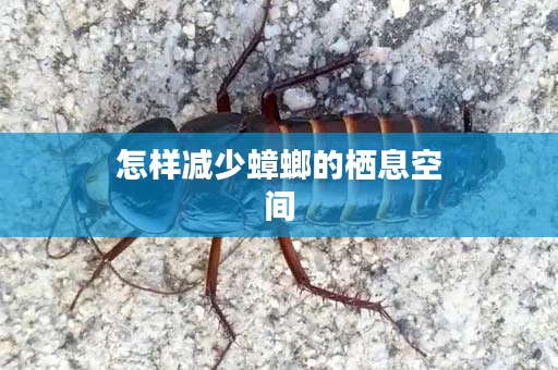 怎样减少蟑螂的栖息空间