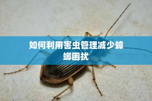 如何利用害虫管理减少蟑螂困扰