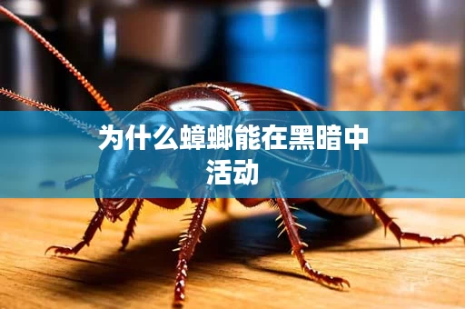 为什么蟑螂能在黑暗中活动