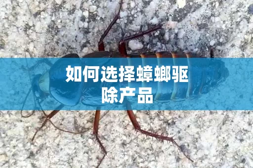 如何选择蟑螂驱除产品