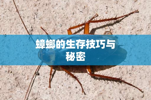 蟑螂的生存技巧与秘密