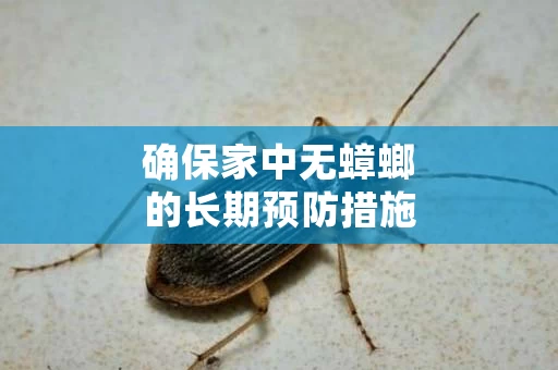 确保家中无蟑螂的长期预防措施
