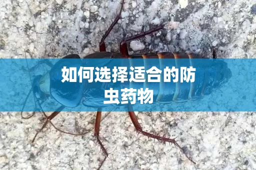 如何选择适合的防虫药物