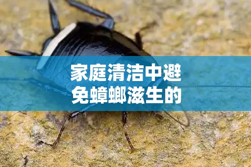 家庭清洁中避免蟑螂滋生的步骤
