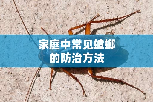 家庭中常见蟑螂的防治方法