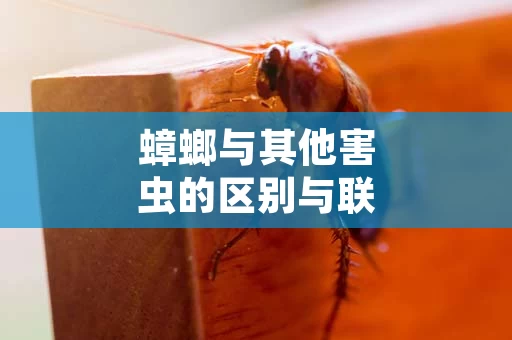 蟑螂与其他害虫的区别与联系