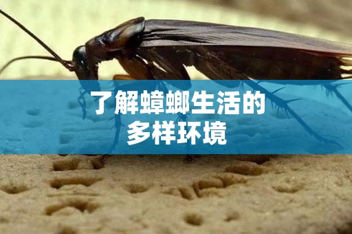 了解蟑螂生活的多样环境