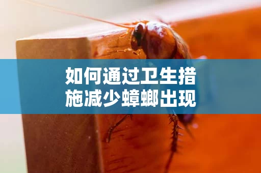 如何通过卫生措施减少蟑螂出现