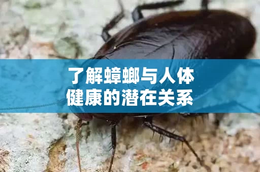了解蟑螂与人体健康的潜在关系
