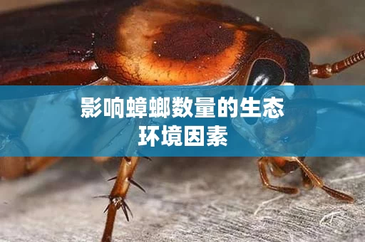 影响蟑螂数量的生态环境因素