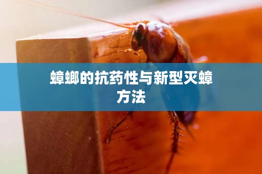 蟑螂的抗药性与新型灭蟑方法