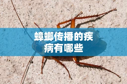 蟑螂传播的疾病有哪些