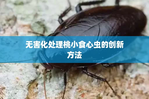 无害化处理桃小食心虫的创新方法