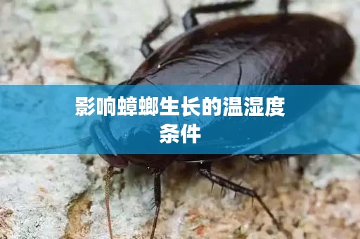 影响蟑螂生长的温湿度条件
