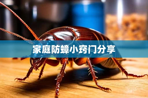 家庭防蟑小窍门分享
