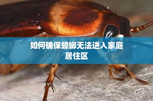 如何确保蟑螂无法进入家庭居住区