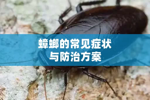 蟑螂的常见症状与防治方案