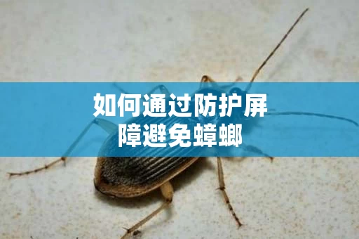 如何通过防护屏障避免蟑螂
