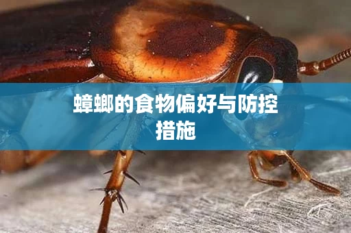 蟑螂的食物偏好与防控措施