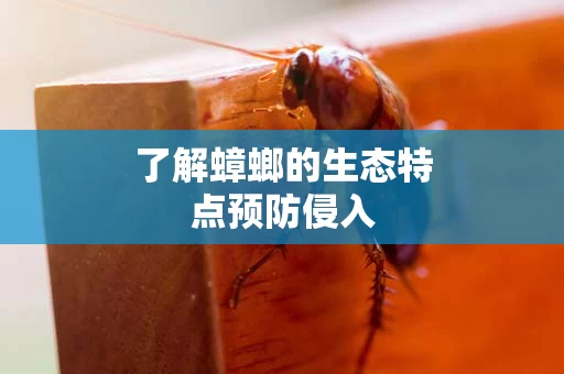 了解蟑螂的生态特点预防侵入