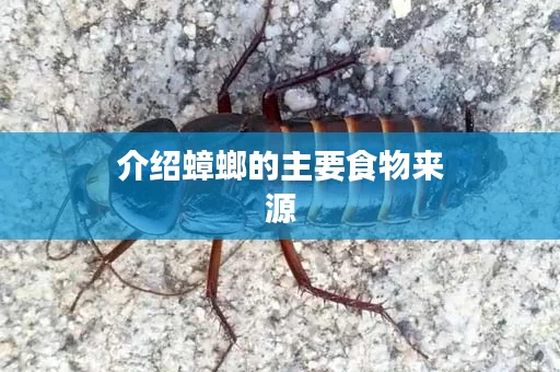 介绍蟑螂的主要食物来源