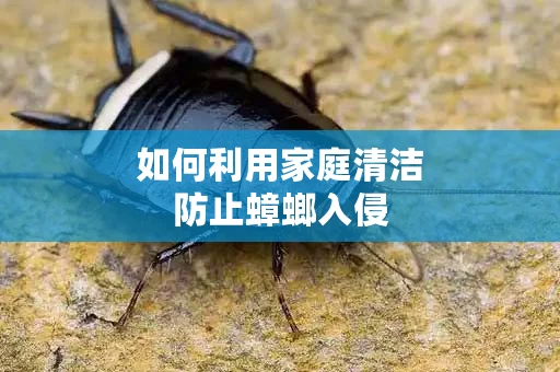 如何利用家庭清洁防止蟑螂入侵