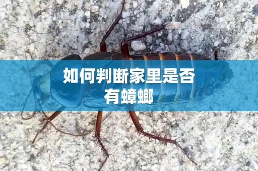 如何判断家里是否有蟑螂