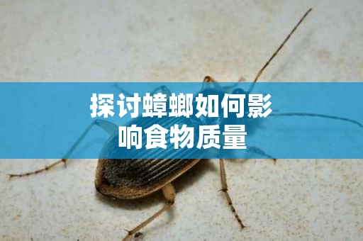 探讨蟑螂如何影响食物质量