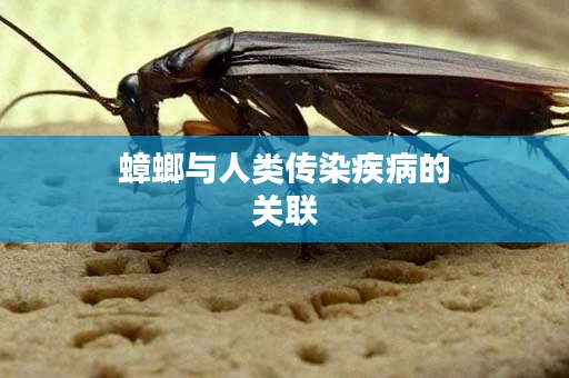 蟑螂与人类传染疾病的关联