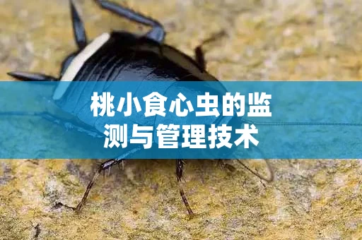桃小食心虫的监测与管理技术