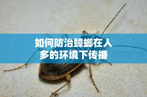 如何防治蟑螂在人多的环境下传播