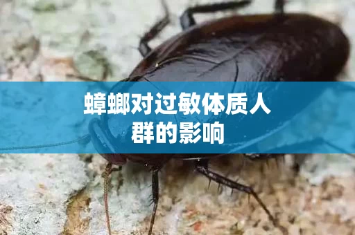 蟑螂对过敏体质人群的影响