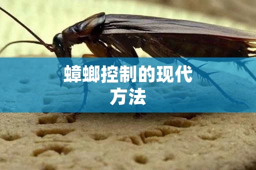 蟑螂控制的现代方法