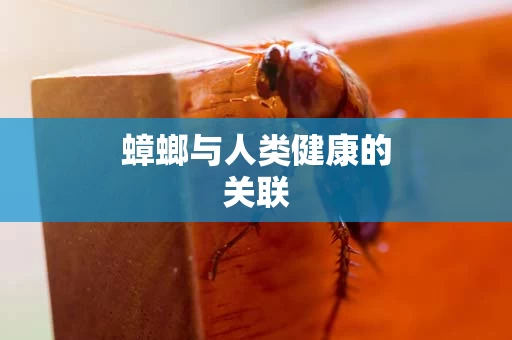蟑螂与人类健康的关联