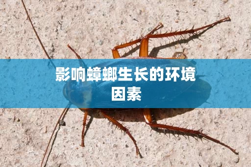 影响蟑螂生长的环境因素