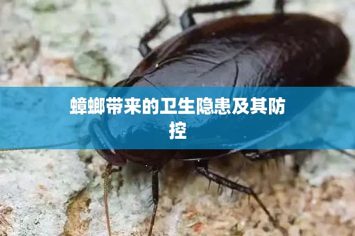 蟑螂带来的卫生隐患及其防控