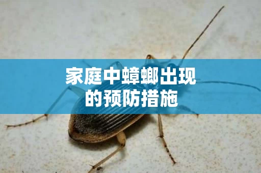 家庭中蟑螂出现的预防措施